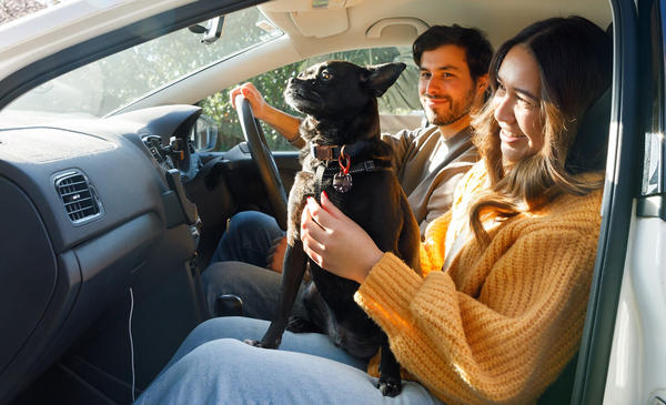 Family sitting in car with dog