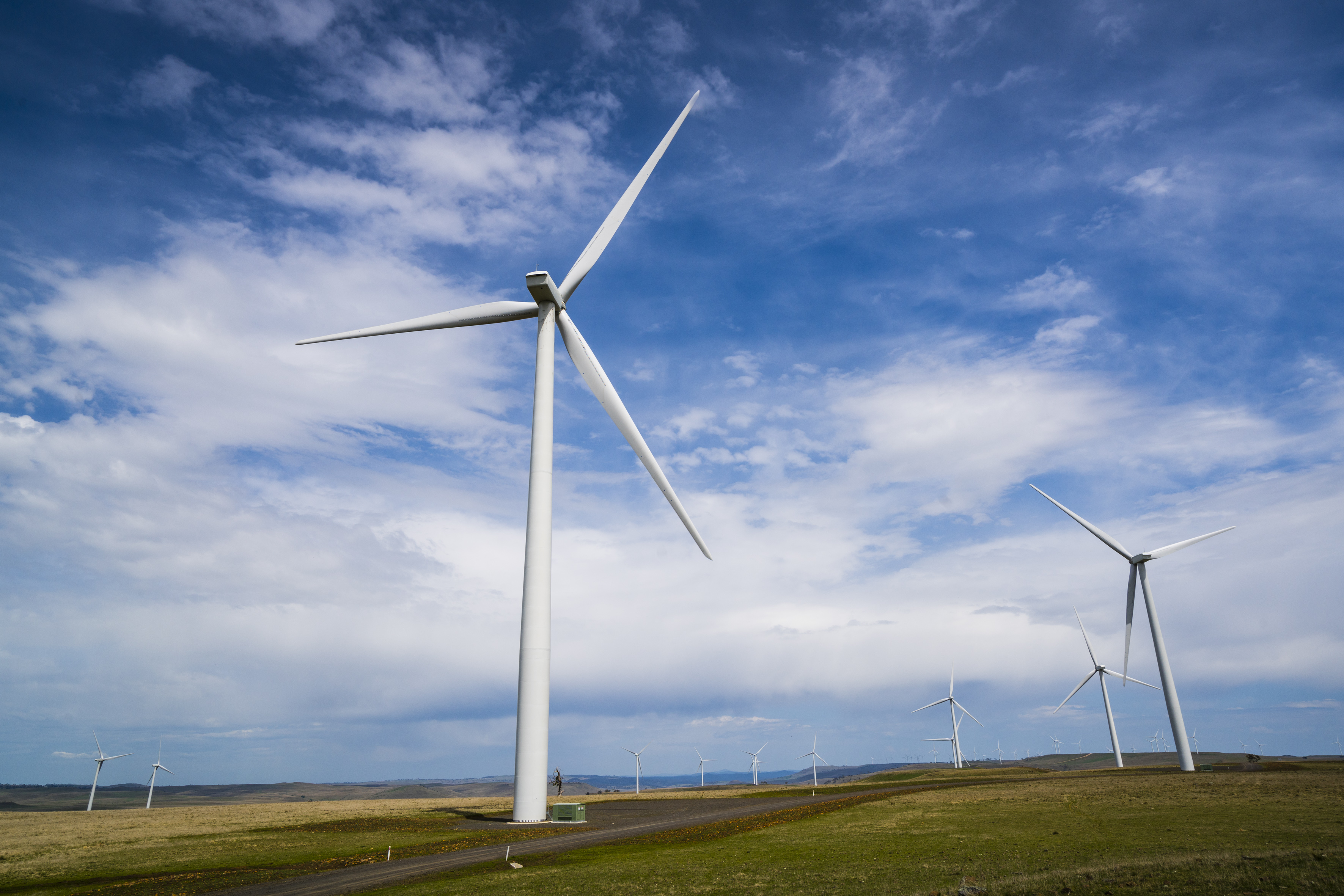 Wind farm in a field