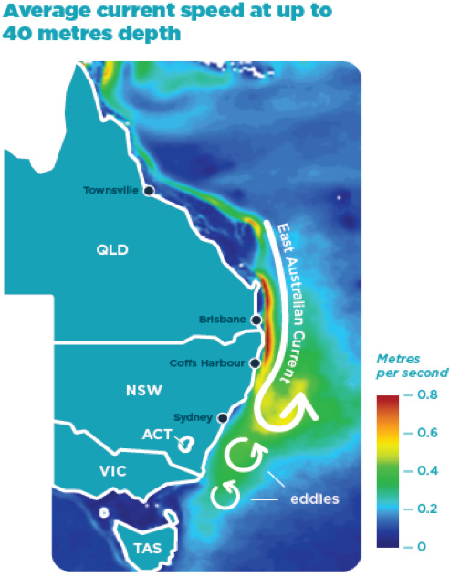 Diagram of ocean energy created by currents on Australia's east coast