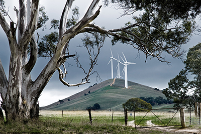 Wind farm on a hill with gum trees