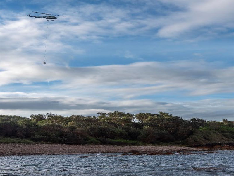 Helicopter lift for walking track works, Tomaree National Park. Image credit: John Spencer/DPE