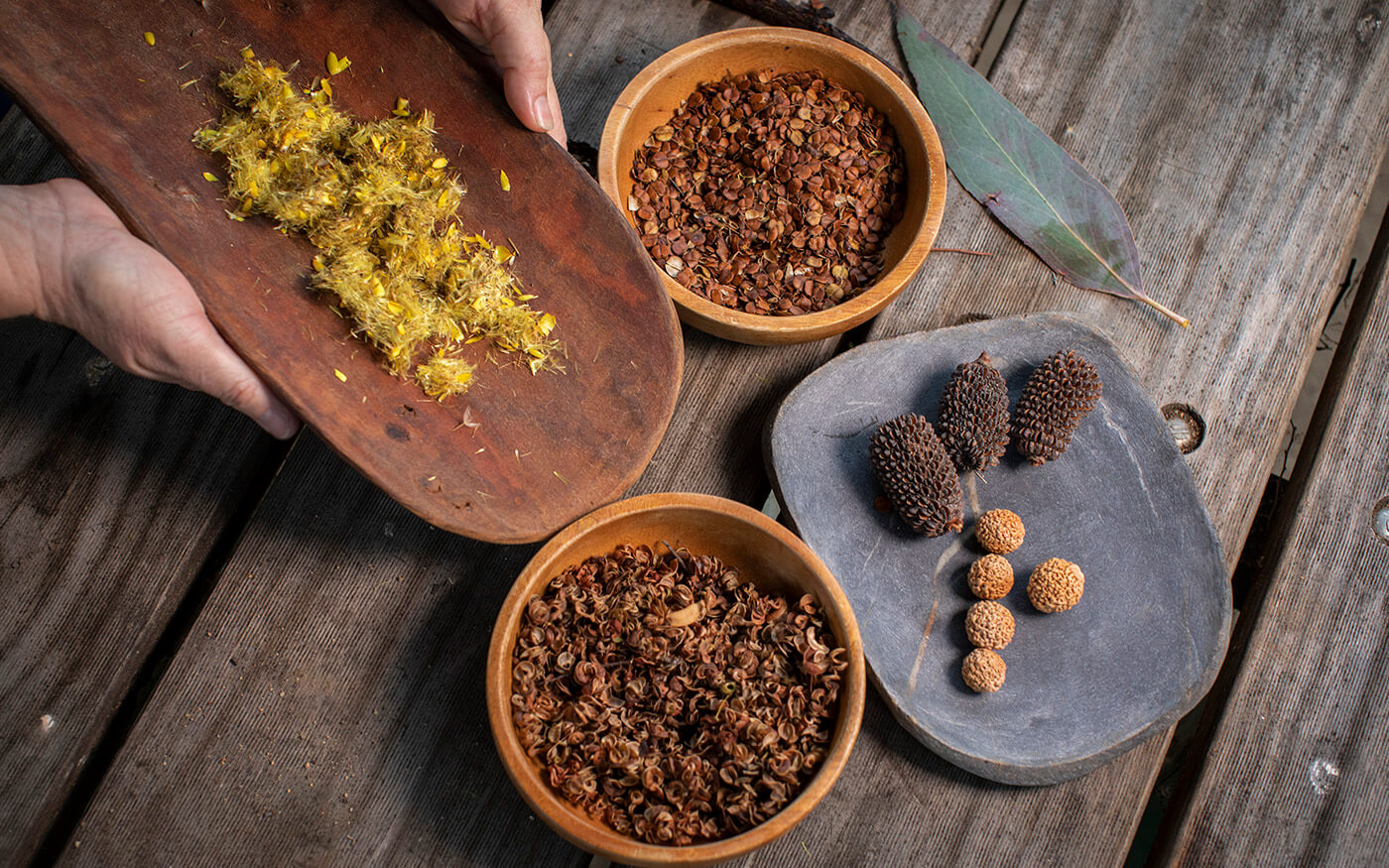 Hands holding seeds