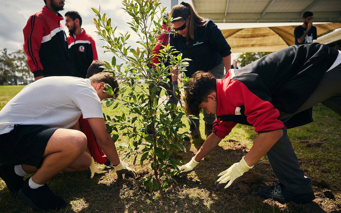 School children planting a tree