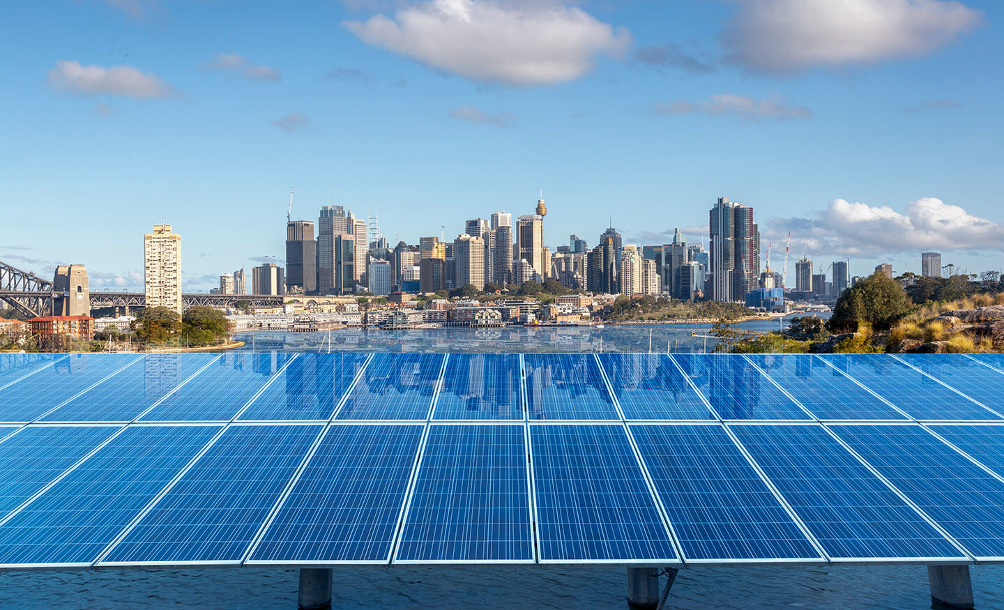 Solar panels with Sydney harbour in background