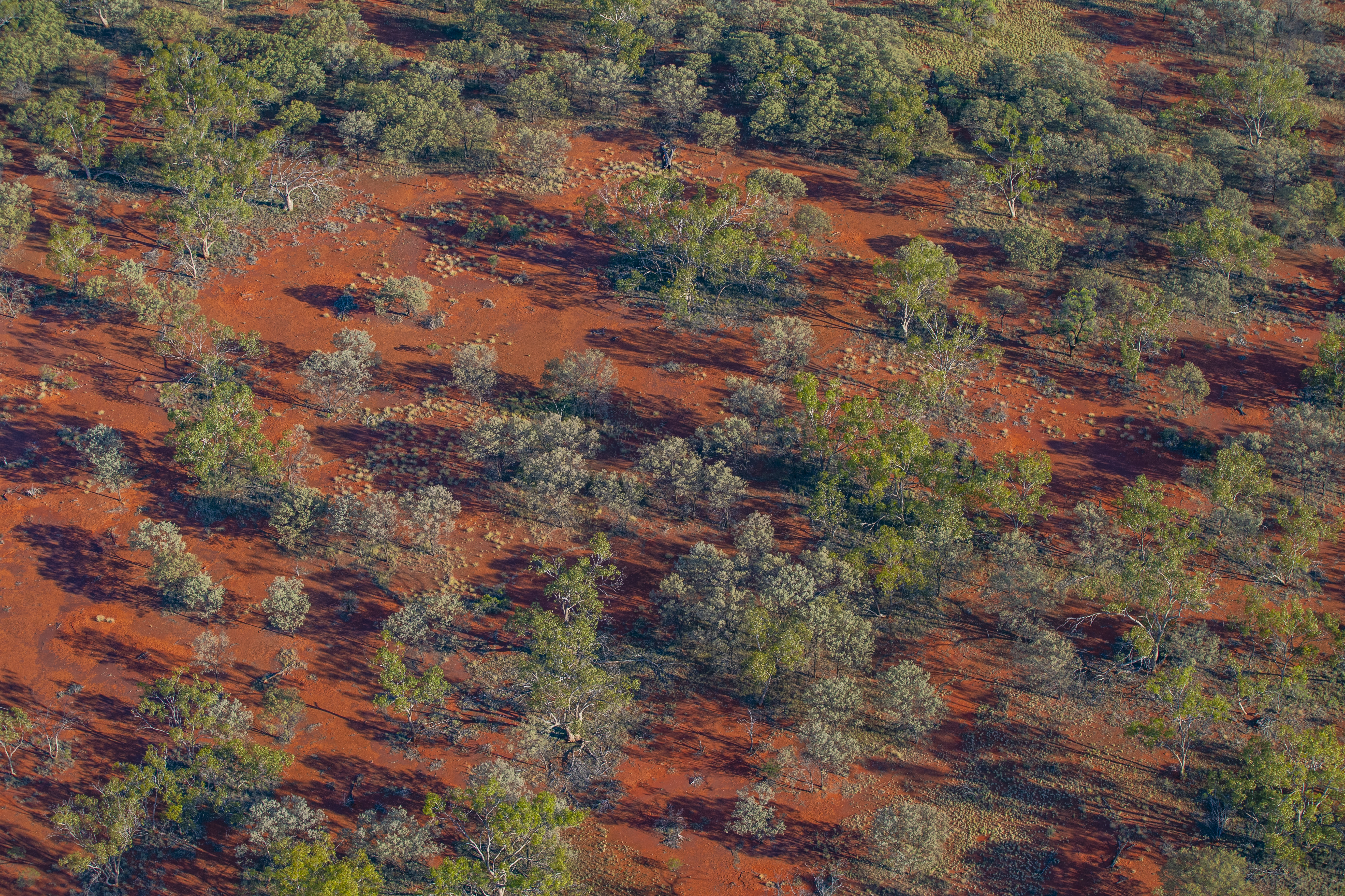 Koonaburra National Park (Department of Climate Change, Energy, the Environment and Water)