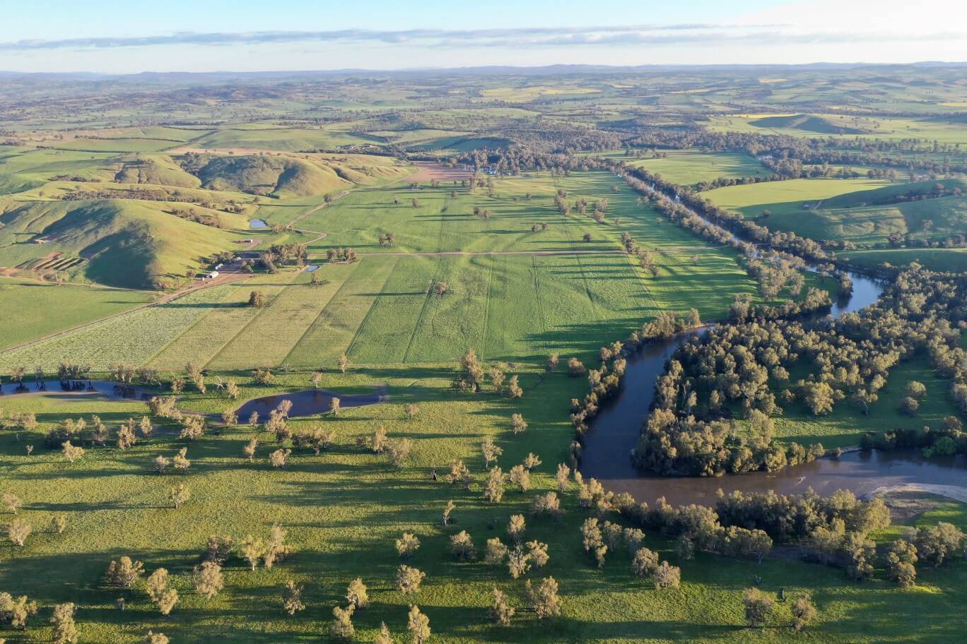 Aerial shot by drone of the Okeview planting site