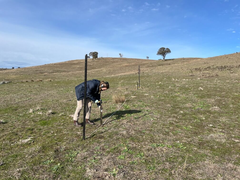 A person doing a land survey
