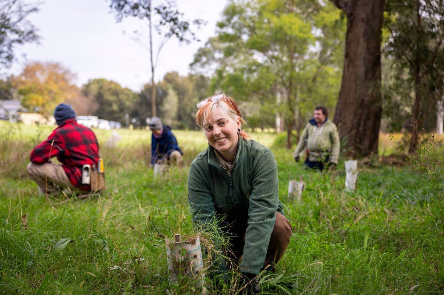 Woman planting a native tree with colleagues in the background