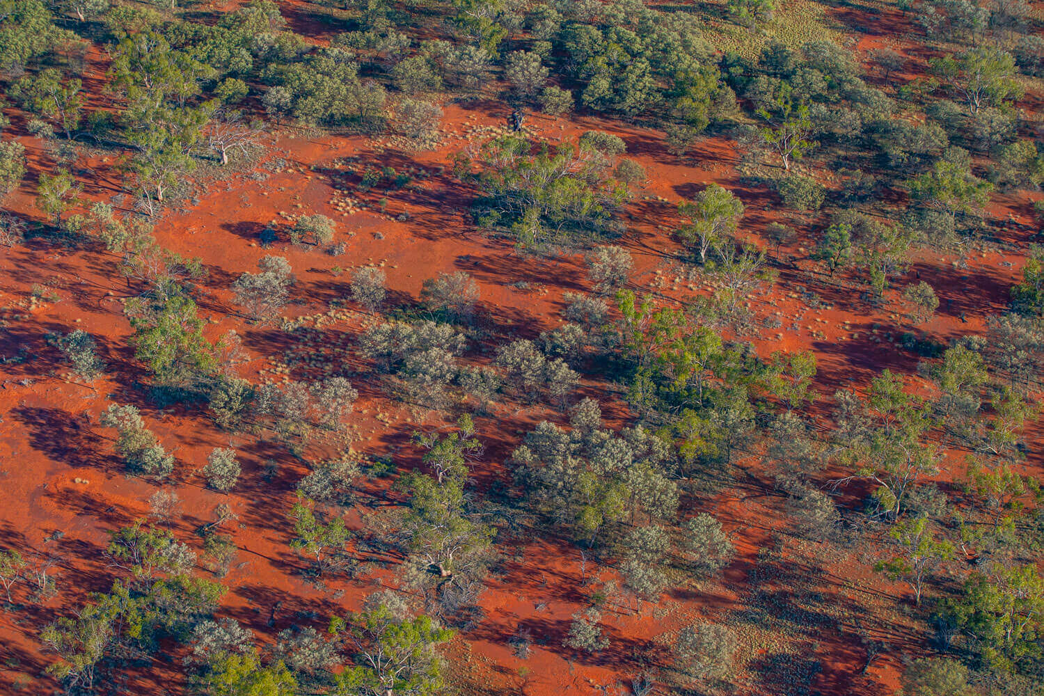 Koonaburra national parks
