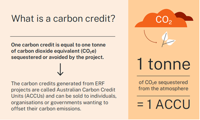 One carbon credit is equal to 1 tonne of carbon dioxide equivalent (CO2e) sequestered or avoided by the project. 