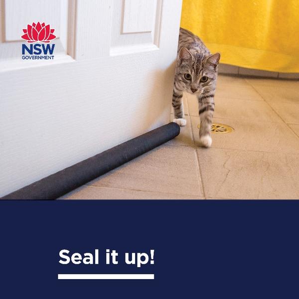 Social media tile with cat near door seal and the phrase "Seal it up!"