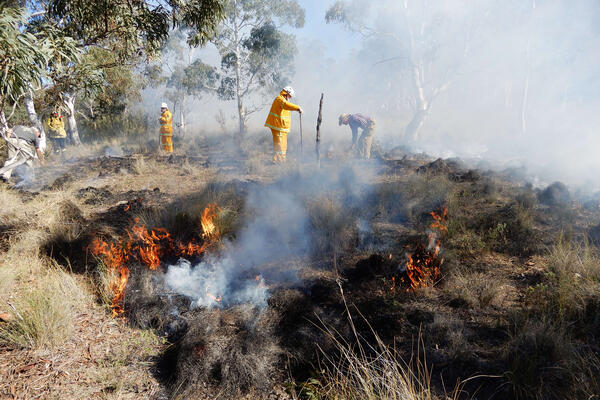 Fire management control