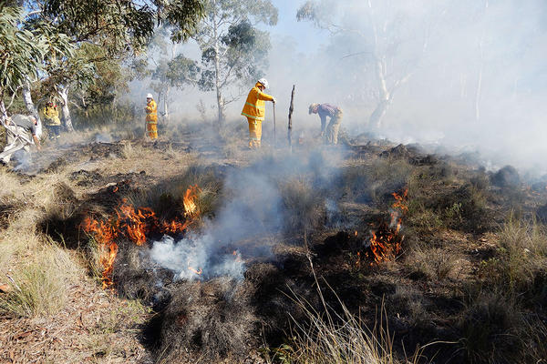 Firefighters doing a controlled burn in bush scrub