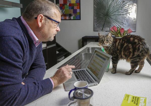 Man looking at energy bill online