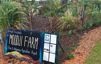 Sign at entrance to Moodji Farm