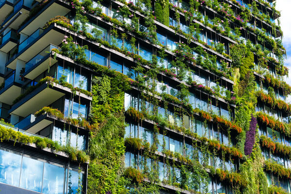 Green building