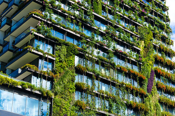Exterior of tall building with greenery