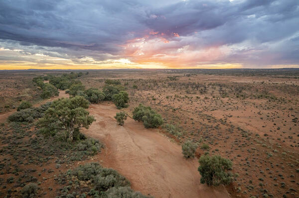 Landscape at Treloar Creek, NSW