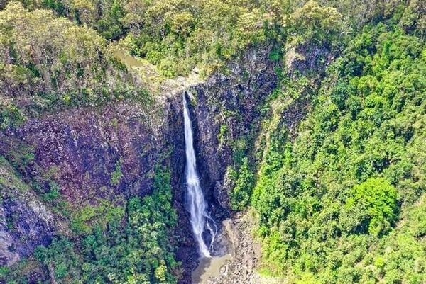 waterfall in forested gorge