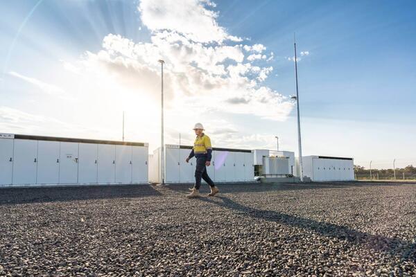 Person walking at Edify solar farm, Darlington Point NSW
