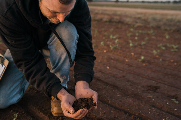 Man picking up soil in field