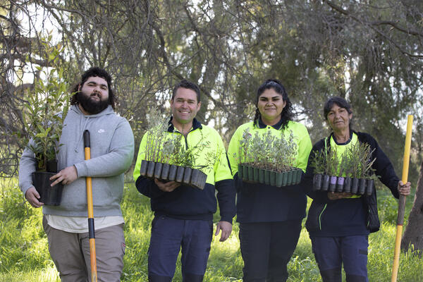 Workers holding plants